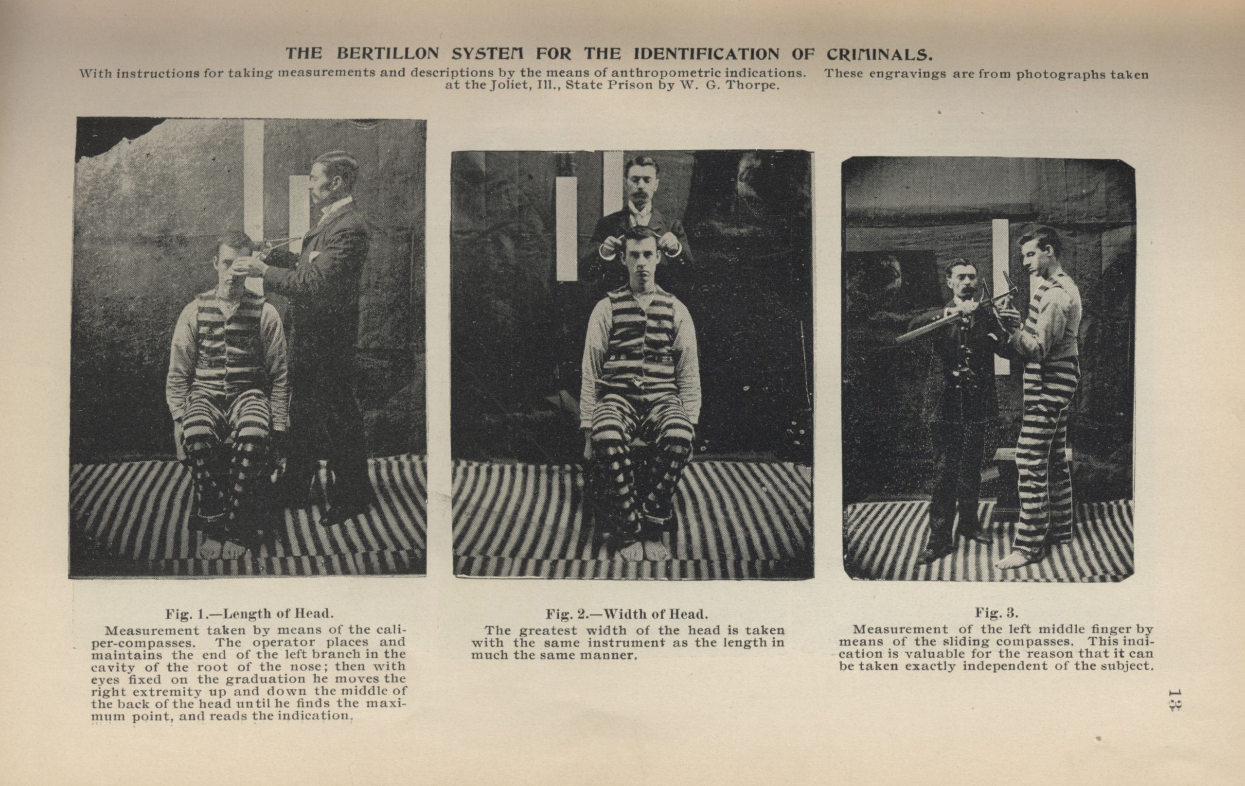 muller-and-mead-bertillon-measurements-1
